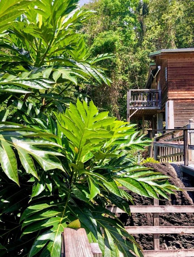 Le Bougainvillier Blanc Hotel Pointe-Noire Ngoại thất bức ảnh